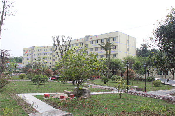 重慶幼師專業(yè)學(xué)校招生要求