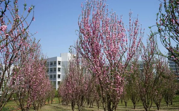 四川省宜賓衛(wèi)生學校宿舍環(huán)境、寢室環(huán)境