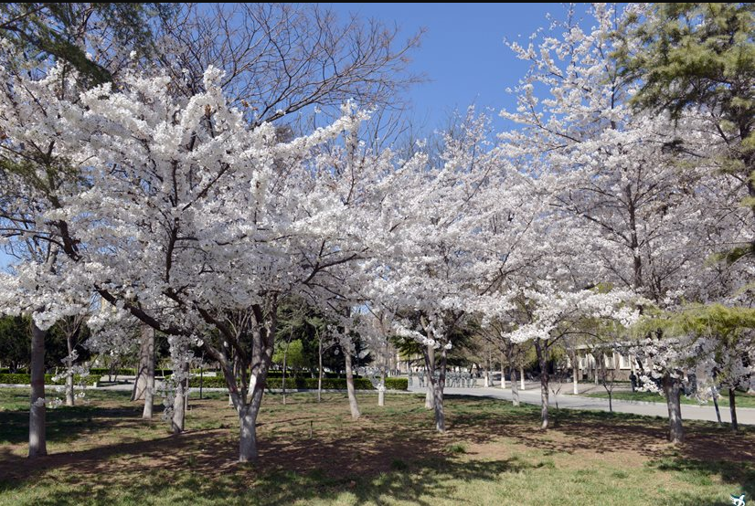  邯鄲建筑工程中專學(xué)校