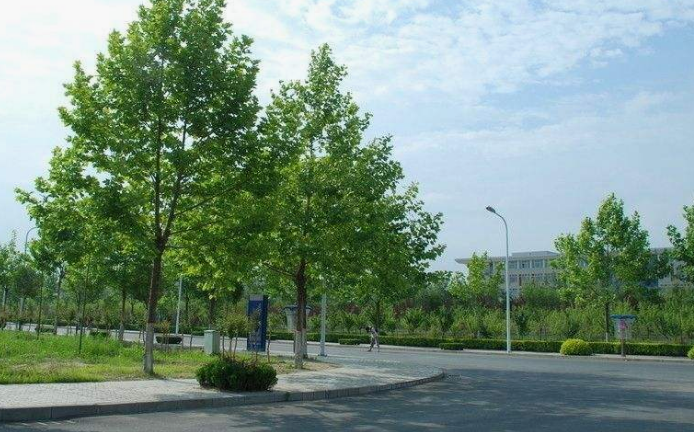 重慶市江南職業(yè)學(xué)校招生對(duì)象、招生要求