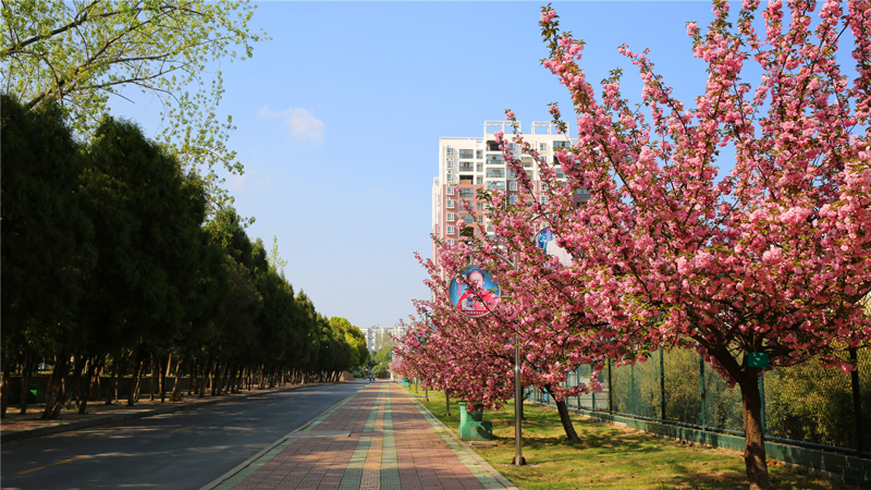 湖北信息工程學校環(huán)境圖