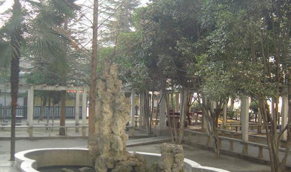 竹山職業(yè)技術集團學校