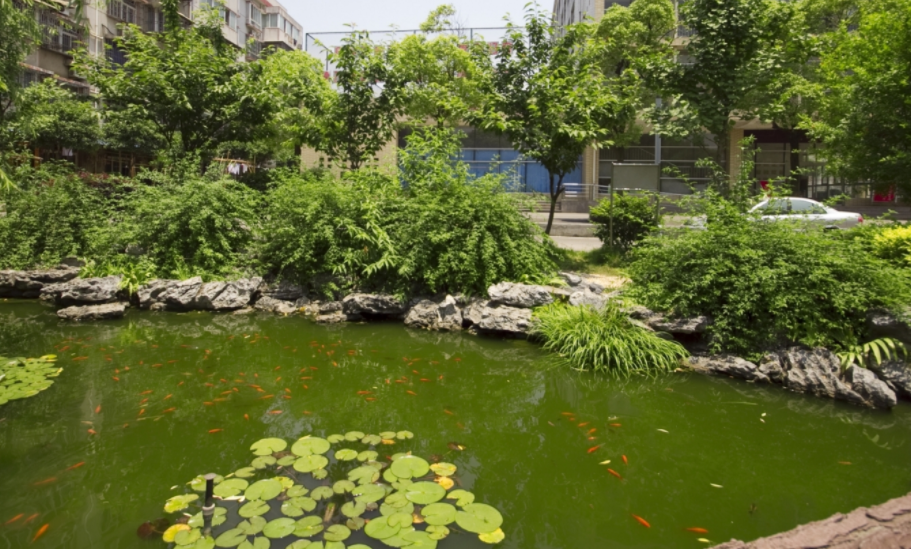 湖南建筑高級(jí)技工學(xué)校環(huán)境