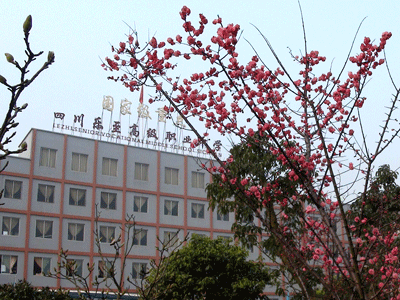 四川省樂至縣高級職業(yè)中學(xué)學(xué)費、大概收費是多少