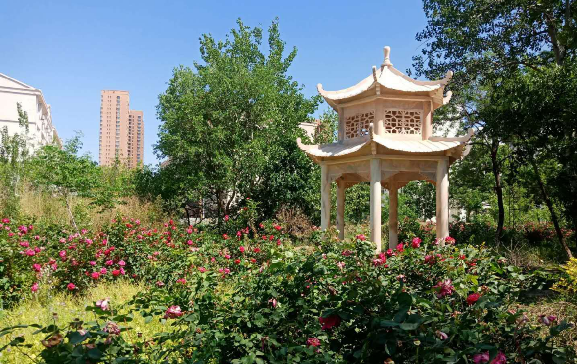 石家莊白求恩醫(yī)學(xué)中等專(zhuān)業(yè)學(xué)校