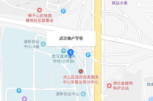 武漢助產(chǎn)學(xué)校地址在哪里、怎么走、乘車路線