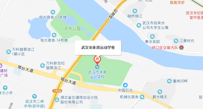 武漢市體育運(yùn)動(dòng)學(xué)校位置地圖