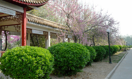 河南省民政學(xué)校