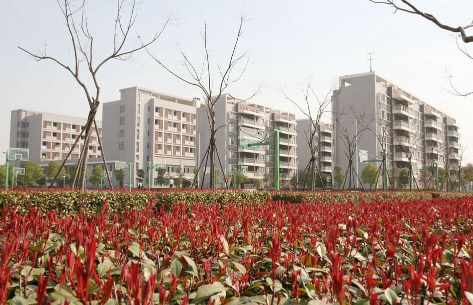 武漢市儀表電子學校有哪些專業(yè)、招生專業(yè)