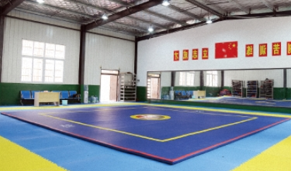 湖南省體育運(yùn)動(dòng)學(xué)校地址