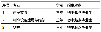 攀枝花電子科技學(xué)校招生、招生專業(yè)有哪些