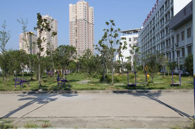 安陸市中等職業(yè)技術(shù)學(xué)校招生條件、招生對(duì)象、招生分?jǐn)?shù)