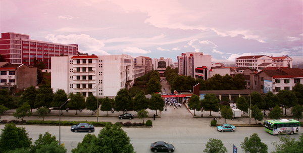 桃源縣職業(yè)中等專業(yè)學校環(huán)境