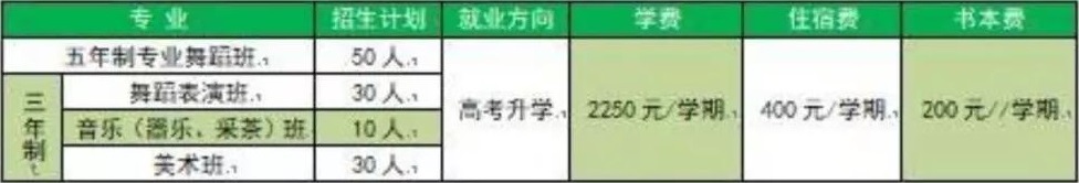 吉安文藝學(xué)校招生計劃