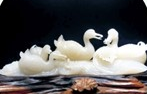 郴州技師學院招生專業(yè)