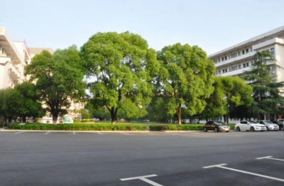 郴州綜合職業(yè)中專學(xué)校環(huán)境 