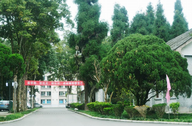 四川省檔案學(xué)校宿舍環(huán)境、寢室環(huán)境