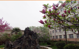 陜西航天技師學院