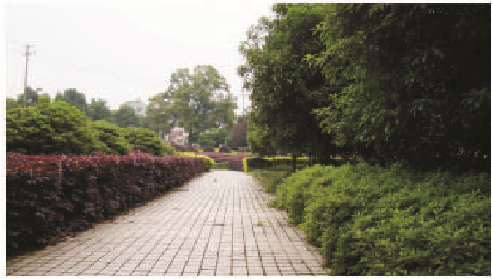 岳陽市理工職業(yè)技術(shù)學(xué)校環(huán)境