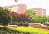 岳陽市理工職業(yè)技術(shù)學(xué)校環(huán)境