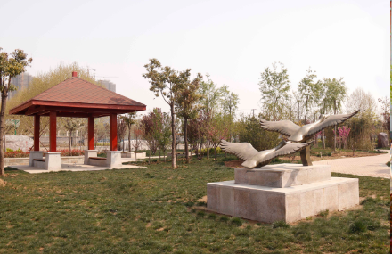 開封市體育運(yùn)動學(xué)校