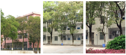 岳陽市第一職業(yè)中等專業(yè)學(xué)校宿舍環(huán)境