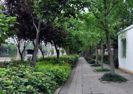 老河口職業(yè)技術(shù)學(xué)校招生條件、招生對(duì)象、招生分?jǐn)?shù)