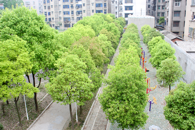 湖北省潛江市衛(wèi)生學(xué)校招生條件、招生對象、招生分?jǐn)?shù)