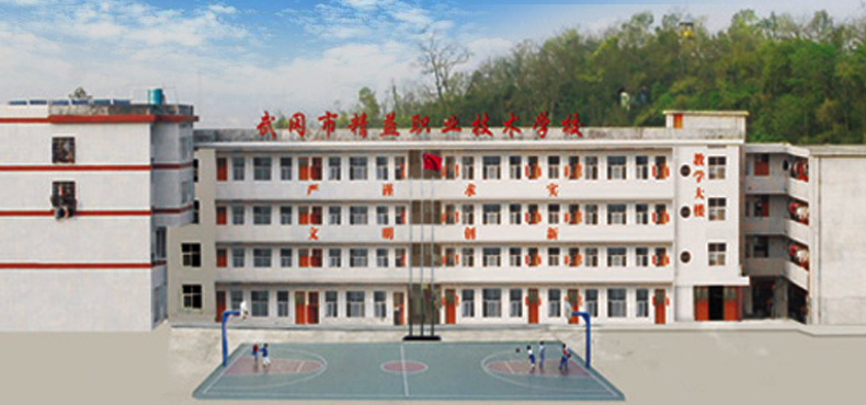 武岡市精益職業(yè)技術學校