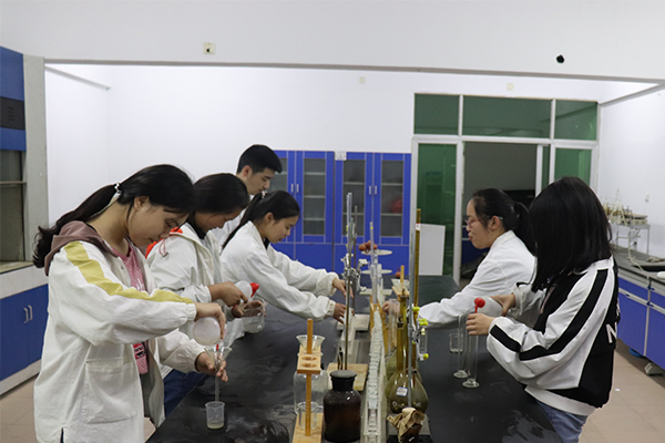 岳陽市新青年職業(yè)技術學校招生專業(yè)