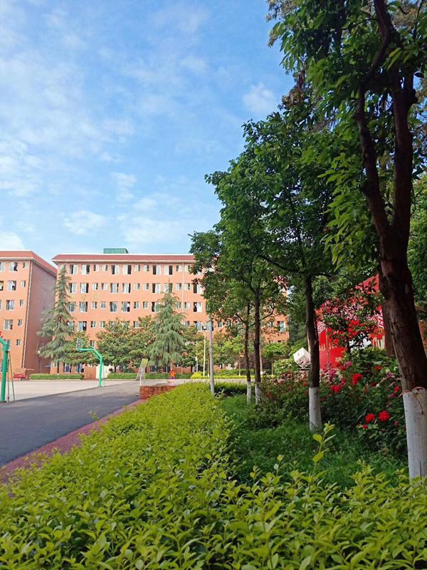 眉山衛(wèi)生職業(yè)學(xué)校招生簡章、簡介