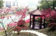 邵陽市交通技工學(xué)校環(huán)境、圖片