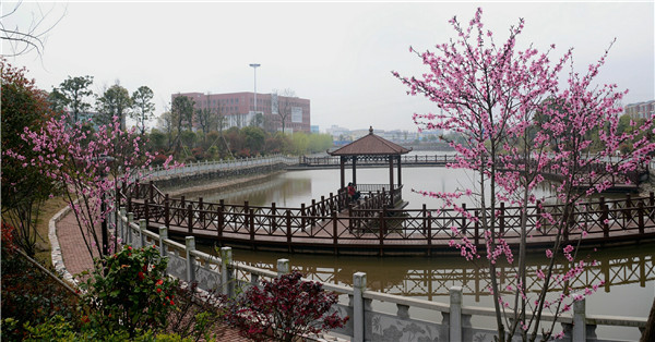 萍鄉(xiāng)衛(wèi)生職業(yè)學(xué)院環(huán)境怎么樣、好不好