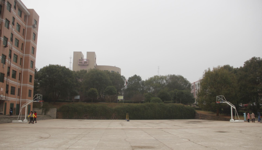 湖南省衡南縣職業(yè)中等專業(yè)學(xué)校環(huán)境、學(xué)校好不好