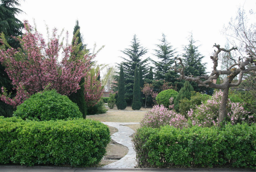 平頂山市工業(yè)學(xué)校環(huán)境