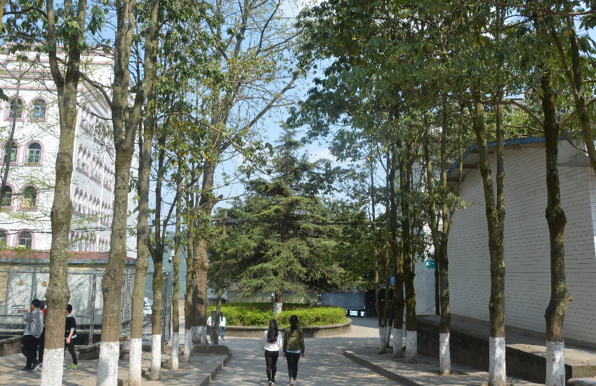 四川省儀隴縣扶輪育才職業(yè)中學(xué)校