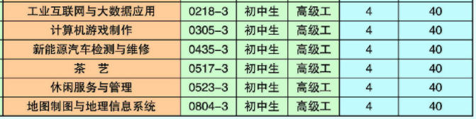 曲靖高級技工學校、學校招生計劃