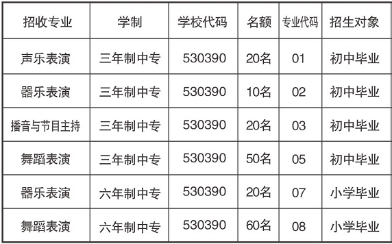 云南藝術(shù)學(xué)院附屬藝術(shù)學(xué)校、學(xué)校招生計(jì)劃