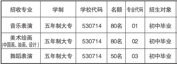 云南藝術(shù)學(xué)院附屬藝術(shù)學(xué)校、學(xué)校招生計(jì)劃