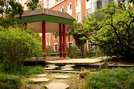 上海市經(jīng)濟管理學(xué)校環(huán)境、學(xué)校圖片