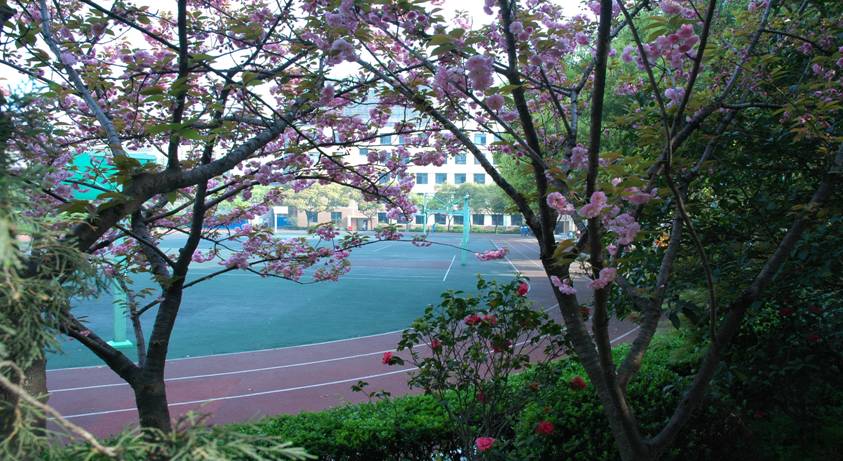 上?？萍脊芾韺W校環(huán)境、學校圖片