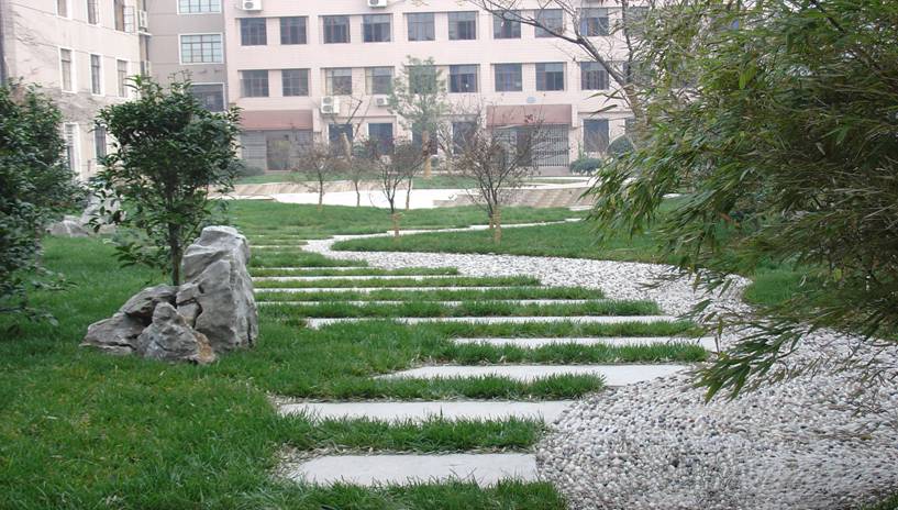 上?？萍脊芾韺W校環(huán)境、學校圖片
