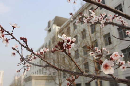 天津市勞動保護學(xué)校環(huán)境、學(xué)校圖片