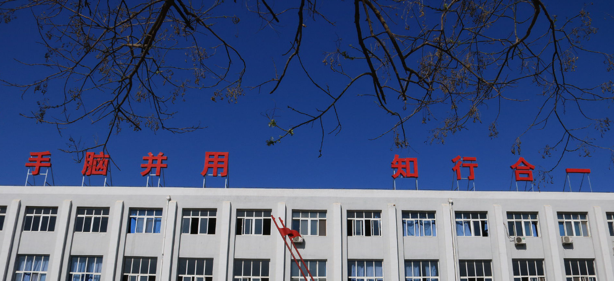 天津市勞動經(jīng)濟學(xué)校環(huán)境、學(xué)校圖片