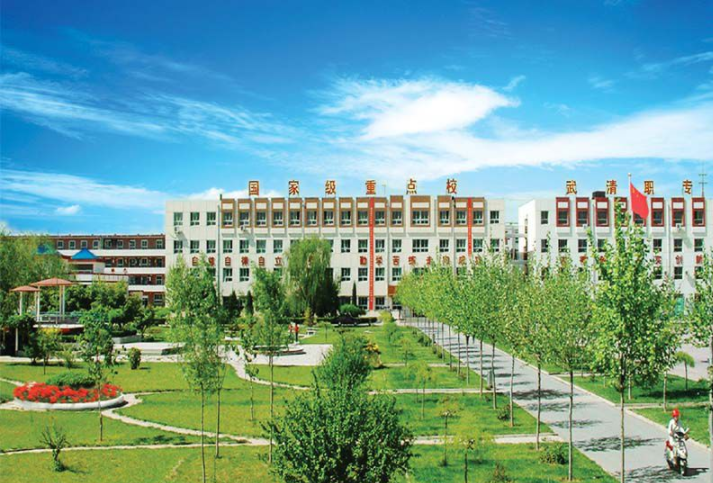 天津市武清區(qū)職業(yè)中等專業(yè)學(xué)校是一個怎樣的學(xué)校、學(xué)校怎么樣