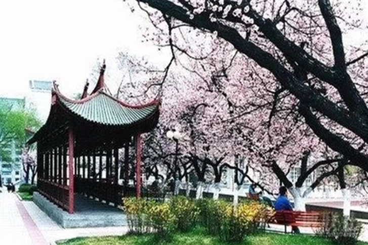 哈爾濱市信息工程職業(yè)技術(shù)學校