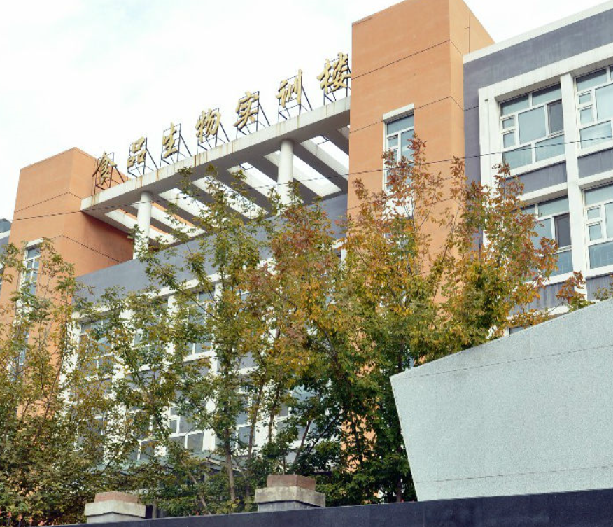哈爾濱輕工業(yè)學(xué)校開設(shè)專業(yè)、有哪些專業(yè)