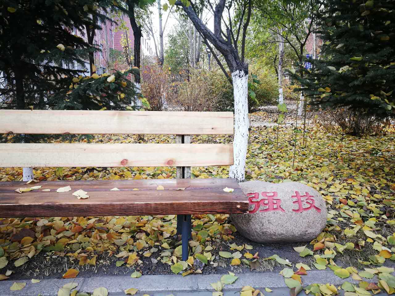 長春職業(yè)技術學校招生要求、學校招生對象
