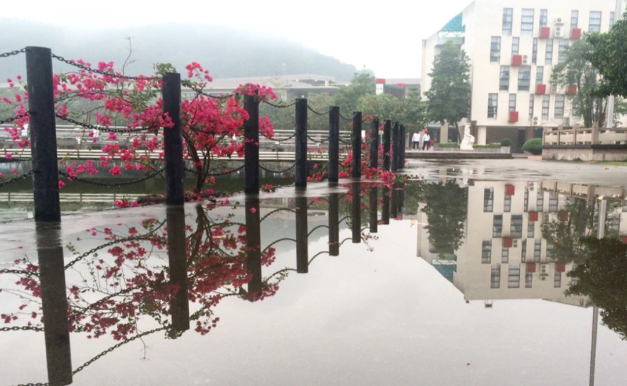 中山市中等專業(yè)學(xué)校好不好、怎么樣