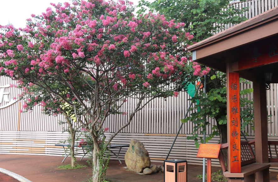 廣東省工業(yè)貿(mào)易職業(yè)技術(shù)學(xué)校環(huán)境、學(xué)校圖片